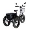 Купить электровелосипед трицикл E-motions PANDA 750W Электровелосипед трицикл E-motions PANDA 750W
