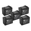 Комплект тяговых гелевых аккумуляторов RuTrike 6-EVF-45 (60V45A/H C3)