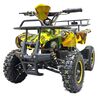 Купить квадроцикл GreenCamel Гоби K21 (36V 800W R6 Цепь) Квадроцикл GreenCamel Гоби K21 (36V 800W R6 Цепь)