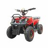 Купить Квадроцикл GreenCamel Гоби K40 быстросъем Квадроцикл GreenCamel Гоби K40 быстросъем