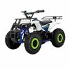 Купить электрический квадроцикл QMC ECO Marsik 36V 1000W Электрический квадроцикл QMC ECO Marsik 36V 1000W