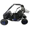 Электробагги QMC Rapid II