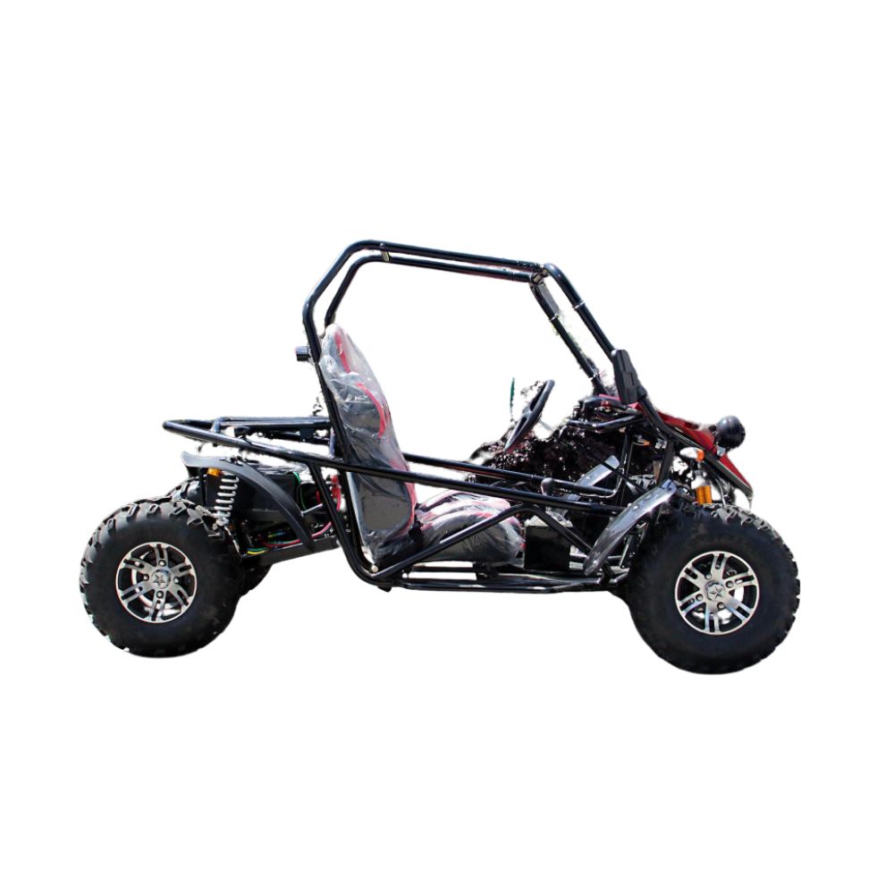 Багги GreenCamel Намиб A5000 (60V 3999W R10 Дифференциал) Багги GreenCamel Намиб A5000 (60V 3999W R10 Дифференциал)