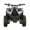 Купить электрический квадроцикл QMC ECO Oferd 48V 1000W Электрический квадроцикл QMC ECO Oferd 48V 1000W