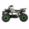 Купить электрический квадроцикл QMC ECO Oferd 48V 1000W Электрический квадроцикл QMC ECO Oferd 48V 1000W