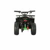 Купить электрический квадроцикл QMC ECO Oferd 48V 1000W Электрический квадроцикл QMC ECO Oferd 48V 1000W