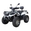 Квадроцикл Linhai LH40DA (3900W 50 км/ч)