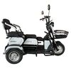 Купить электрический трицикл SHTENLI Model 31 SLA 20Ah48V Электрический трицикл SHTENLI Model 31 SLA 20Ah48V