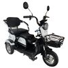 Купить электрический трицикл SHTENLI Model 31 SLA 20Ah48V Электрический трицикл SHTENLI Model 31 SLA 20Ah48V